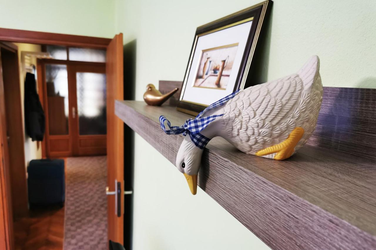 Apartman Skudar Bjelovar Extérieur photo